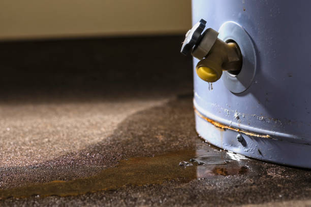Best Residential water damage restoration  in Youngstown, OH
