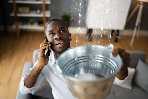 Best Water damage restoration near me  in Youngstown, OH
