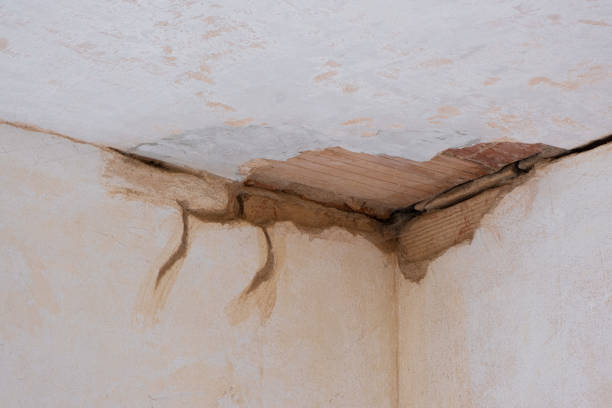 Best 24/7 water damage repair  in Youngstown, OH