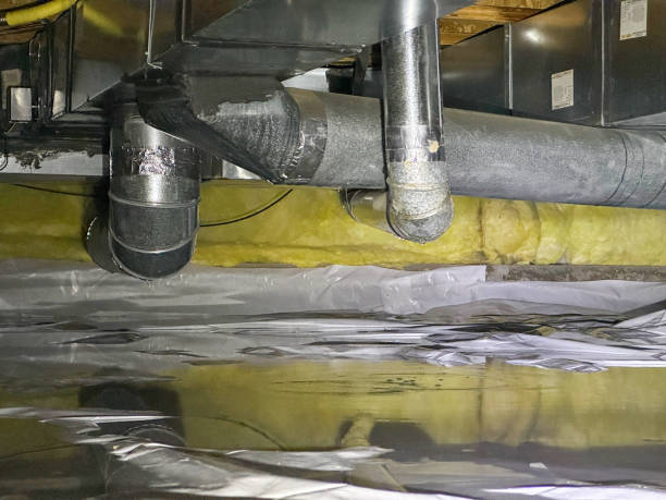Best Residential water damage restoration  in Youngstown, OH