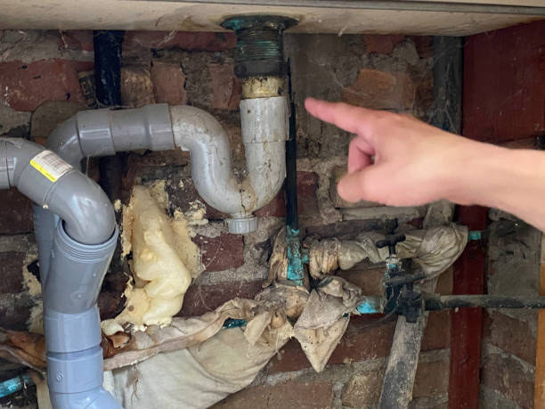 Best Local water damage restoration  in Youngstown, OH