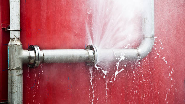 Best Water damage cleanup near me  in Youngstown, OH